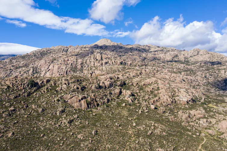 Paisaje rocoso con vegetación en La Pedriza (Madrid)