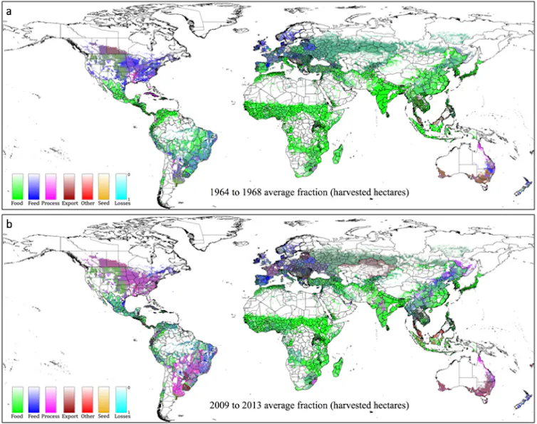 World maps showing increasing non-food usage of crops worldwide
