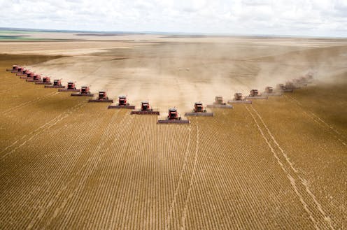 A shrinking fraction of the world's major crops goes to feed the hungry, with more used for nonfood purposes