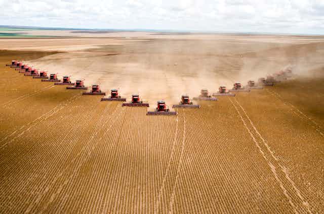 More than 20 harvesting machines drive across a field