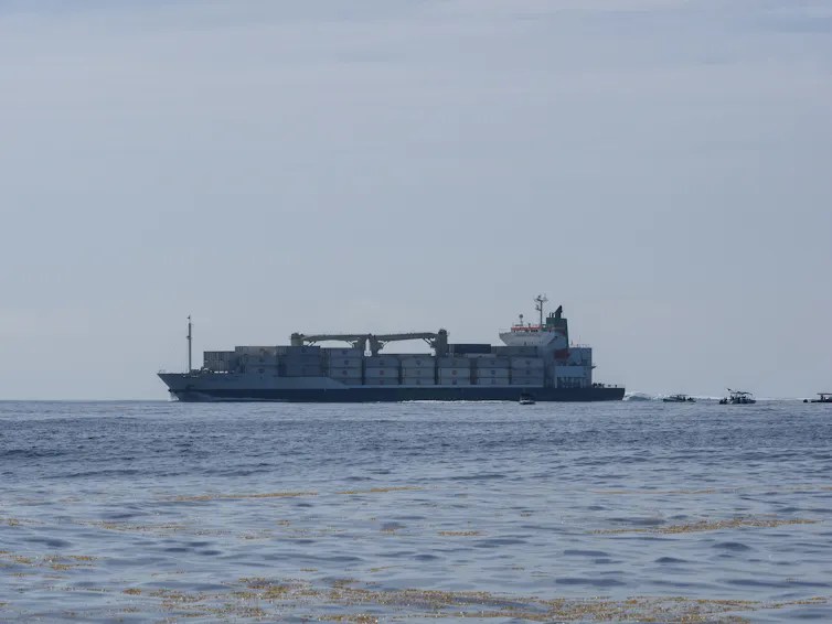 A large container vessel on the horizon.