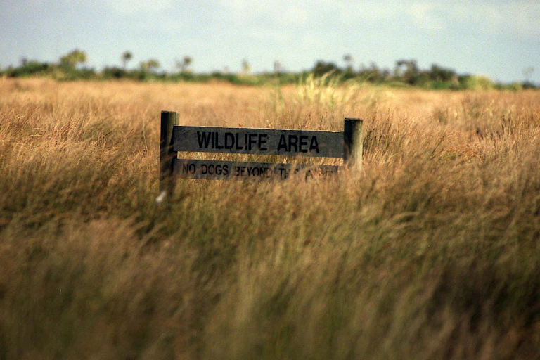 'Wildlife area' sign in grassland