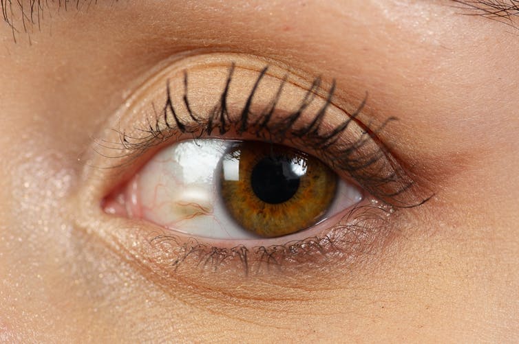 What your eyes reveal about your health
