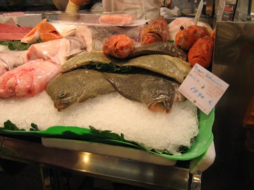 ¿Qué sabemos del pescado que comemos?