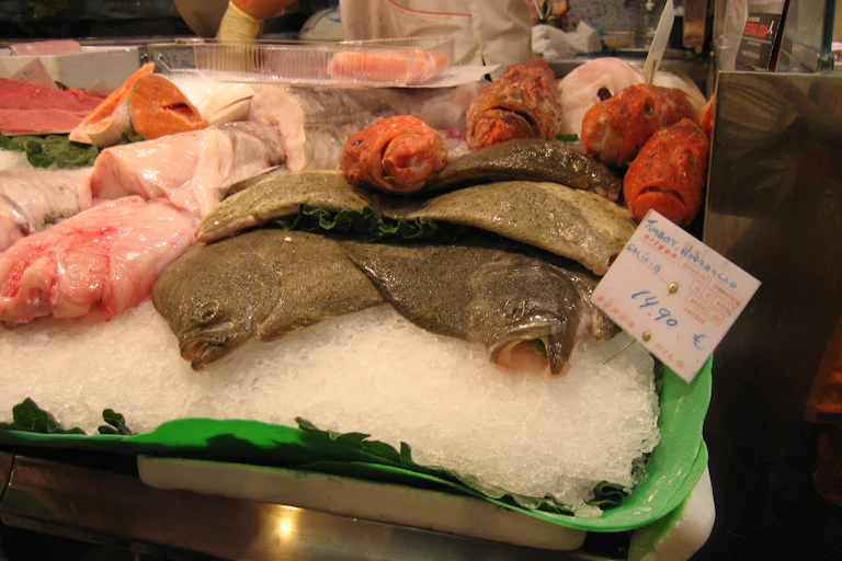 Rodaballos en una pescadería con un cartel con su precio