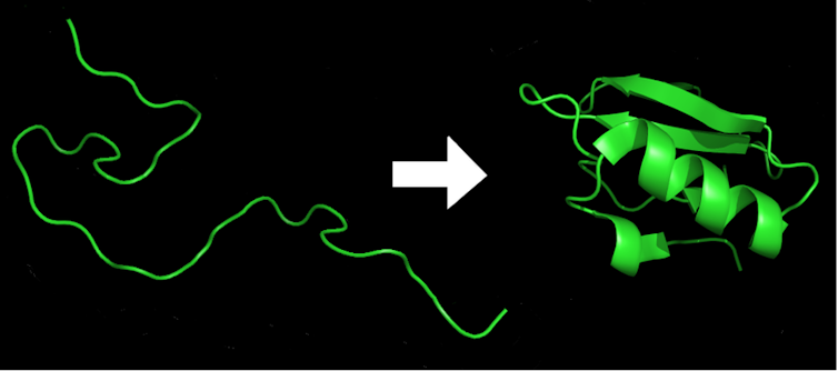 um gráfico mostrando uma linha semelhante a um fio à esquerda e uma estrutura enrolada à direita