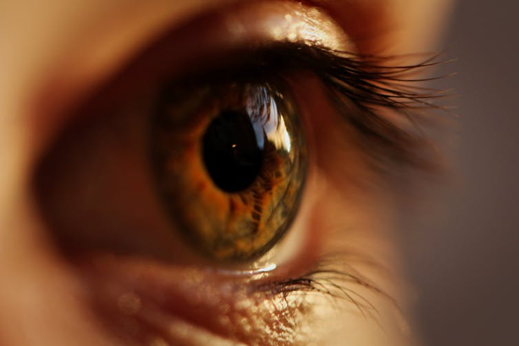 close up of person's eye