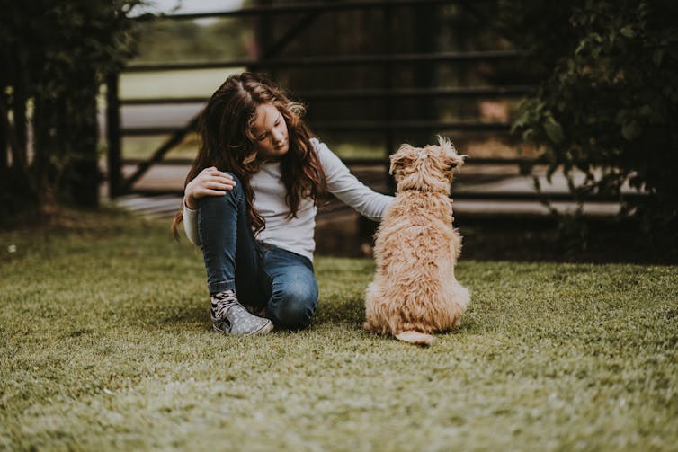 Girl pats dog.