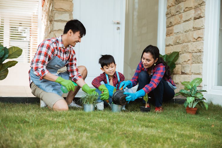 A man and a woman and a child potting plants on a green lawn in front of a house