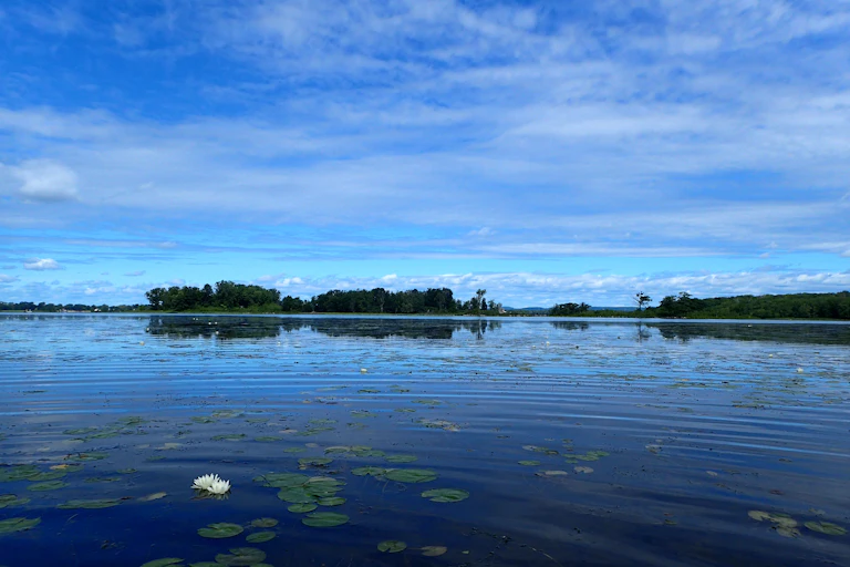 fleuve saint-laurent