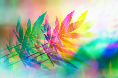 Así afecta el cannabis a nuestra mente, según nuevas investigaciones Así afecta el cannabis a nuestra mente, según nuevas investigaciones