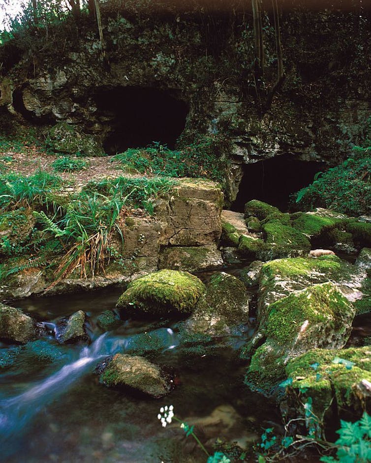 Entrada da Cova do Lloviu, no concello de Villaviciosa, xunto ao río España (Asturias). Turismo Asturias