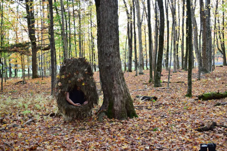 A life-sized birds nest is depicted