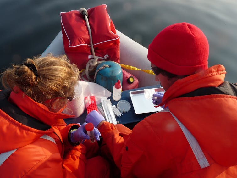 Two people sit in a small boat collecting and organizing tissue samples.