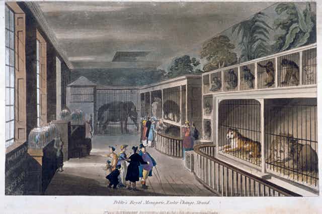 An illustration of an interior room with animal cages lining the walls holding large cats, monkeys and an elephant. There are spectators in top hats and old style clothing.