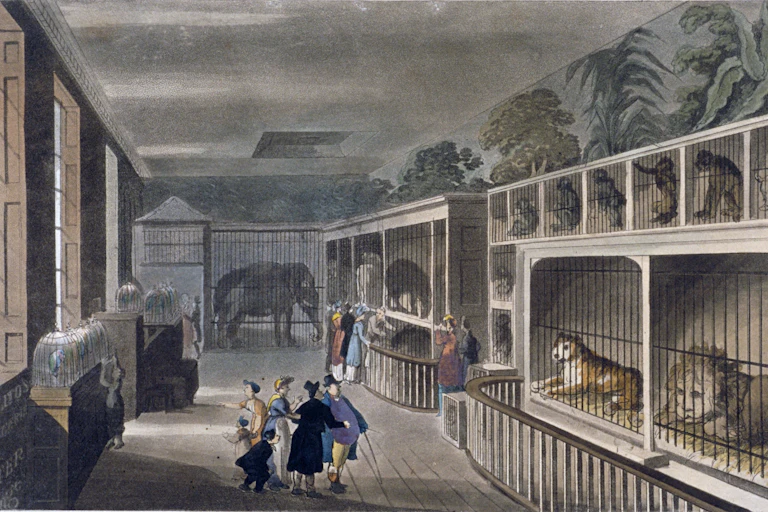 An illustration of an interior room with animal cages lining the walls holding large cats, monkeys and an elephant. There are spectators in top hats and old style clothing.
