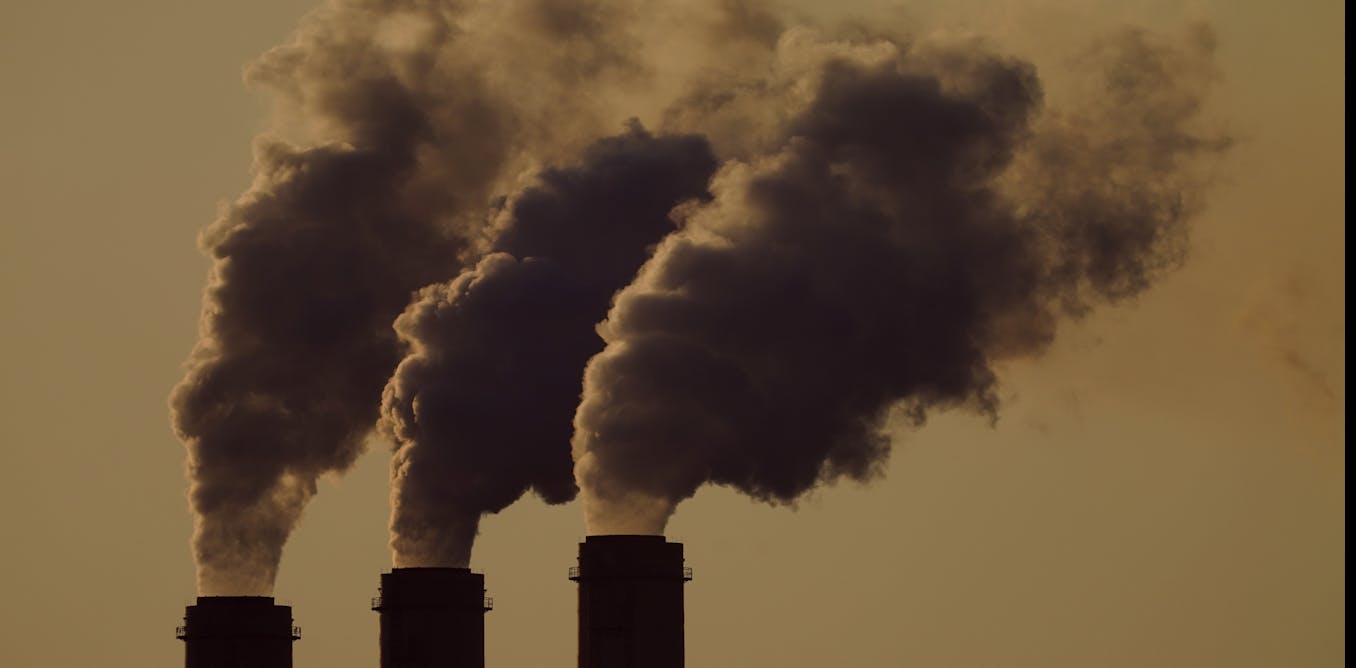 To reduce corporate emissions, CEOs need to be bold risk takers To reduce corporate emissions, CEOs need to be bold risk takers