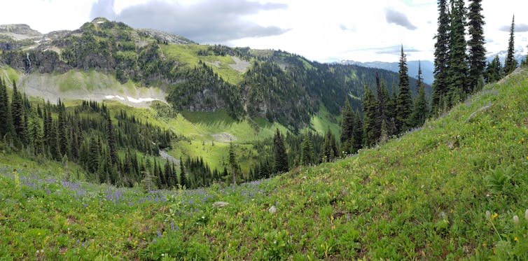 A scenic mountainous green landscape