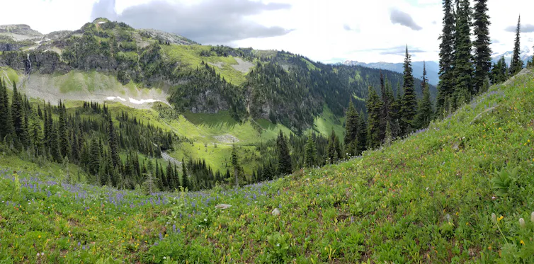 A scenic mountainous green landscape