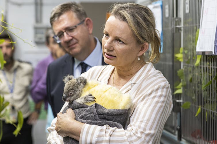 Sussan Ley holding a koala joey