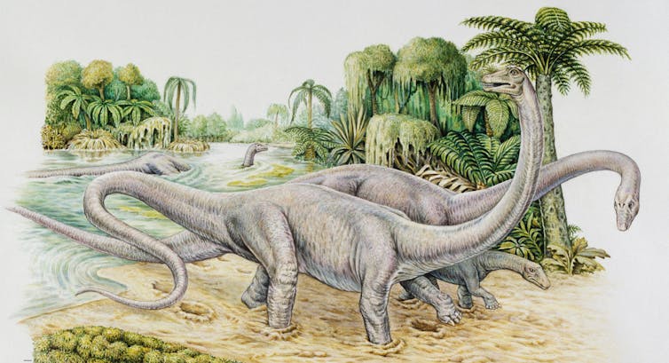 An illustration of two adult diplodocuses and a juvenile navigating a prehistoric swamp.