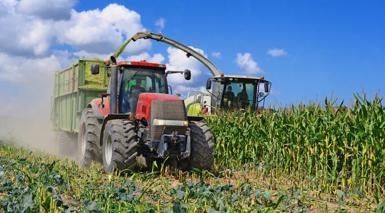 A red tractor with large wheels carries a crate which a harvester siphons silage into.