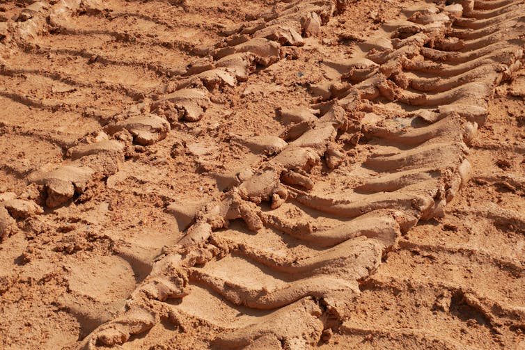 Soil with tyre marks imprinted on it.