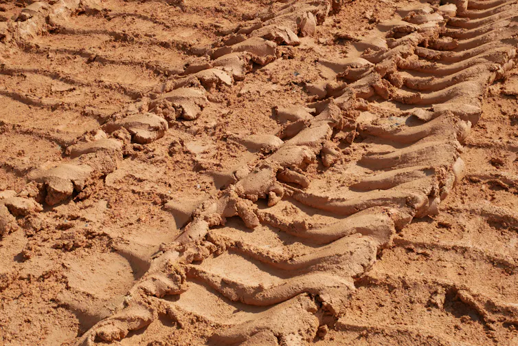 Soil with tyre marks imprinted on it.