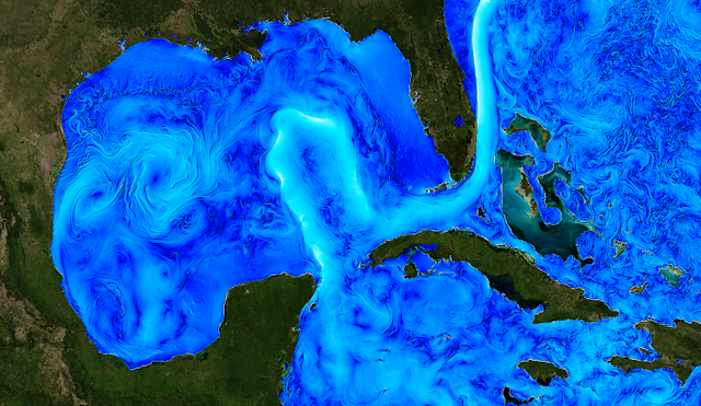 A satellite image shows the strong Loop Current and other meandering currents and swirling eddies in the Gulf of Mexico and Atlantic Oceans