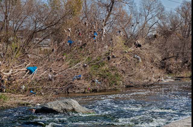 Bushes above a flowing channel are studded with plastic bags and other plastic waste