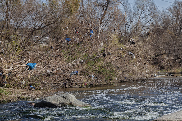 Bushes above a flowing channel are studded with plastic bags and other plastic waste