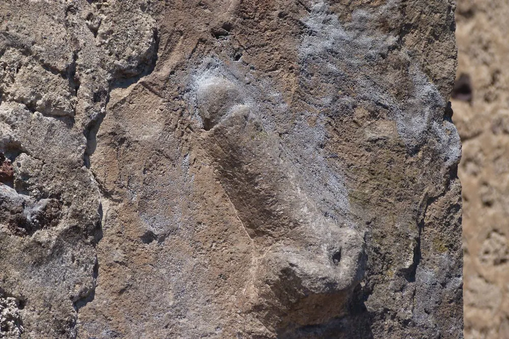 The explosive history of the 2,000-year-old Pompeii 'masturbating' man