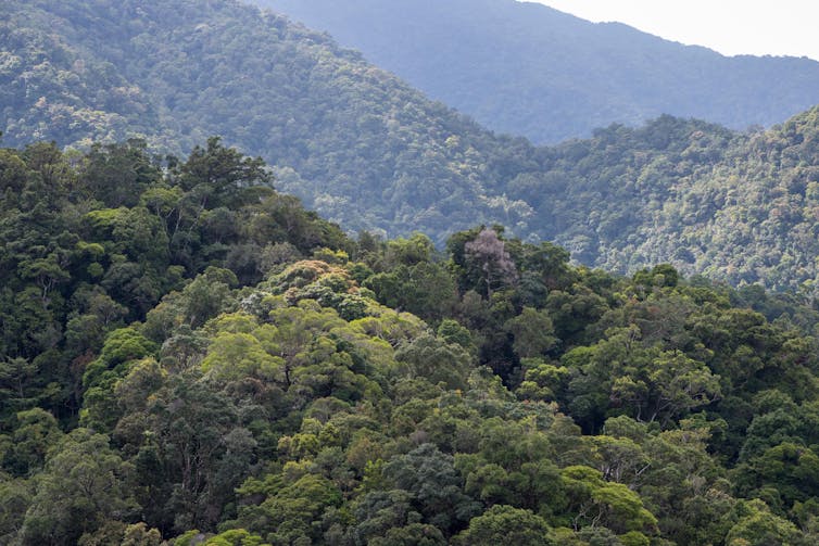 A photograph showing a hilly landscape covered in forests.