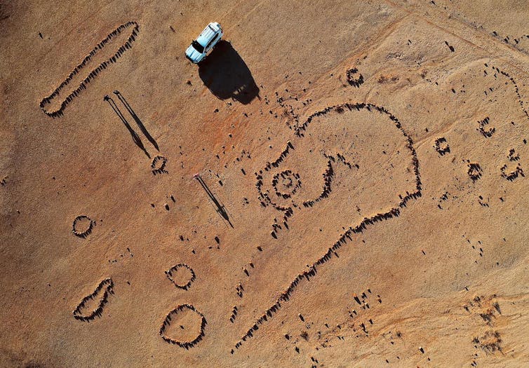 a pattern of stones forming pictures, as seen from the air