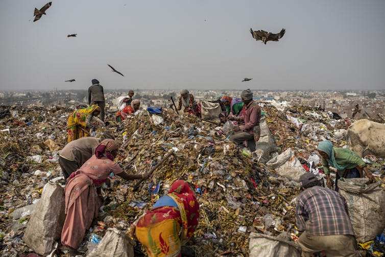 Trash collectors, some of them women in colourful saris, pick through mounds of trash at a landfill. Birds fly overhead.