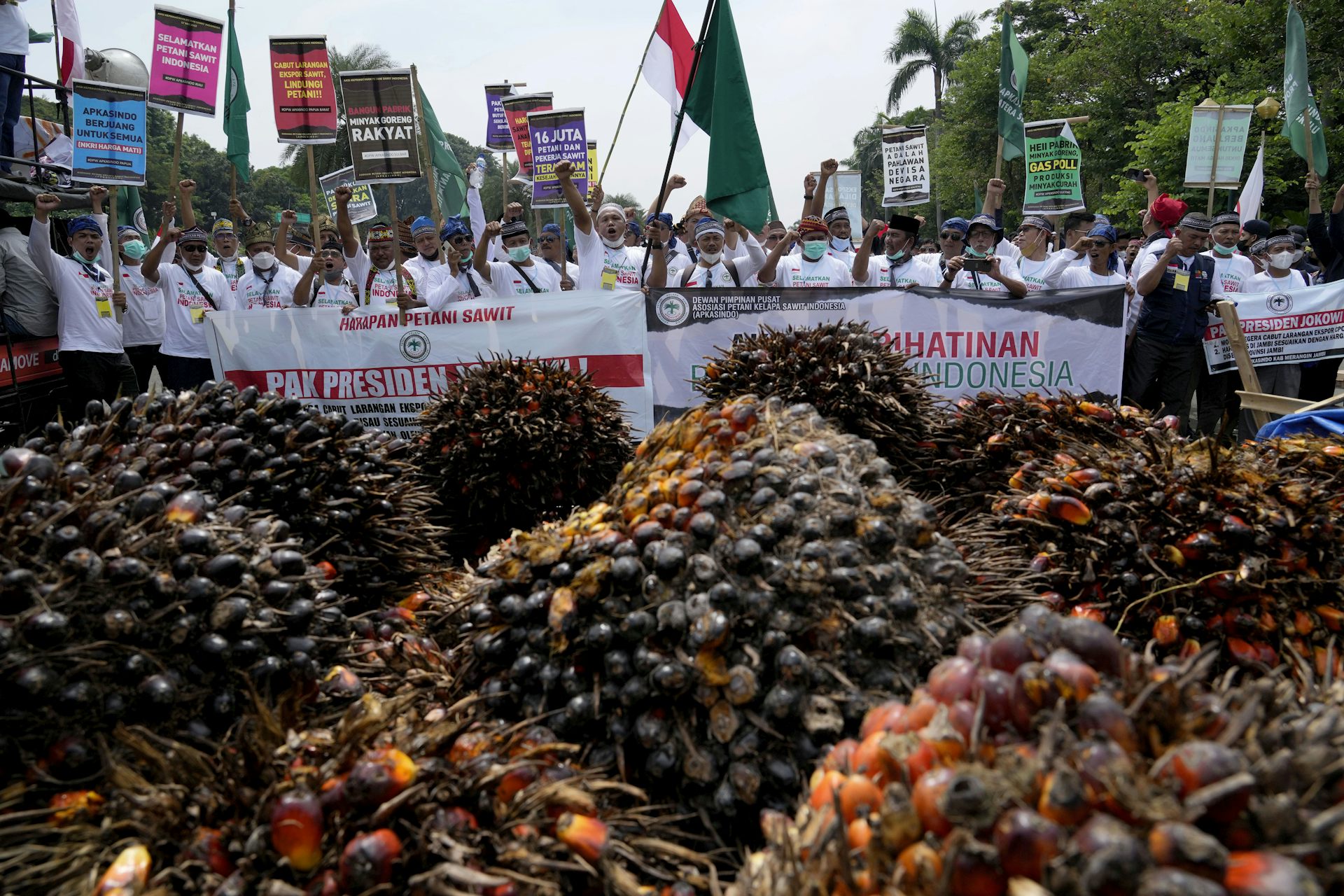 The Impact Of Indonesia's Ban On Palm Oil Exports Reverberated Across ...