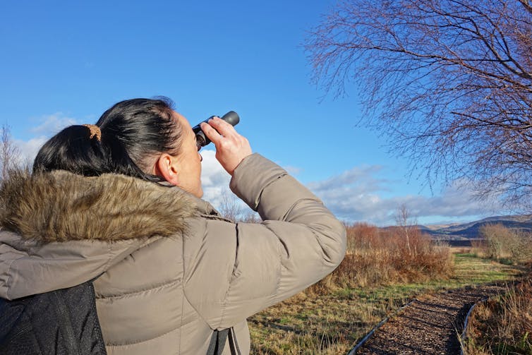 A woman in a grey coat watches a bare tree with binoculars in winter.