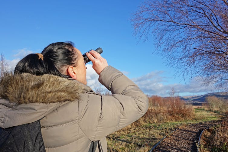 A woman in a grey coat watches a bare tree with binoculars in winter.