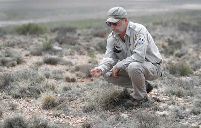 A conservation officer squats down and tests the dryness of a piece of grass between his finger. The landscape is dry grasses and rocky ground.