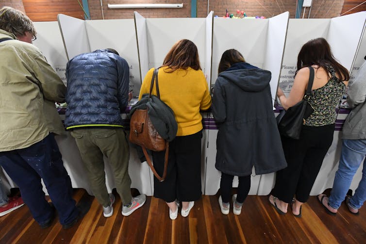 Voters in booths from behind