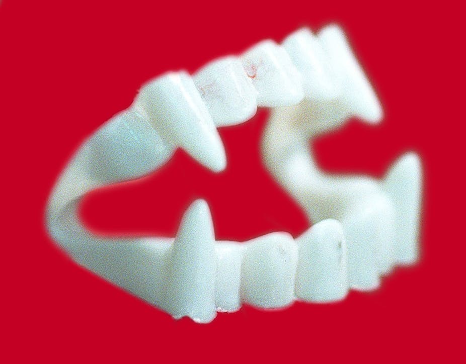 plastic fake teeth with elongated canines against a red background