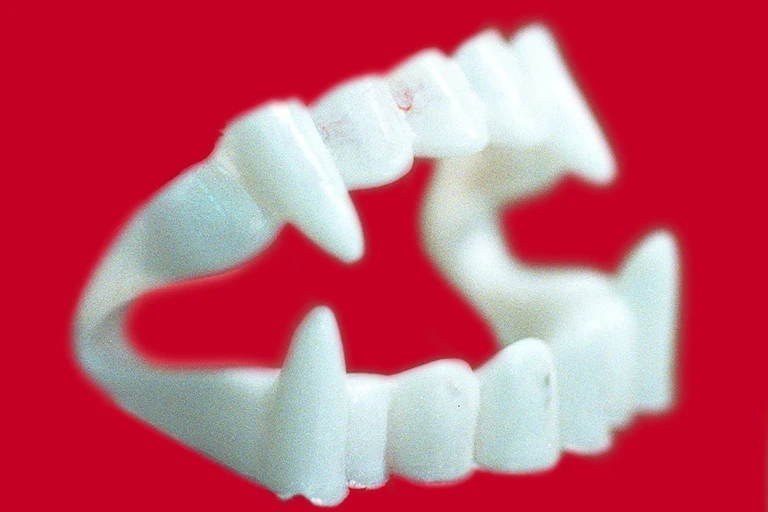 plastic fake teeth with elongated canines against a red background