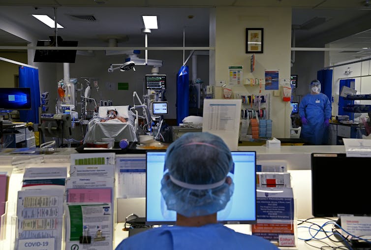 ICU doctor looks at computer screen.