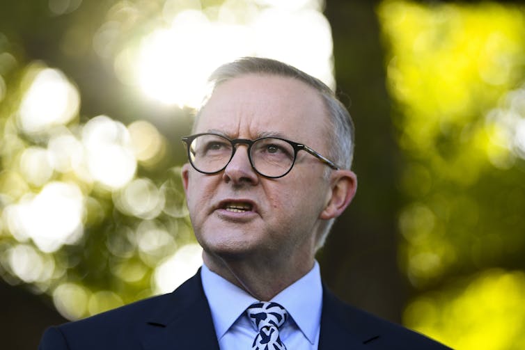 Labor leader Anthony Albanese