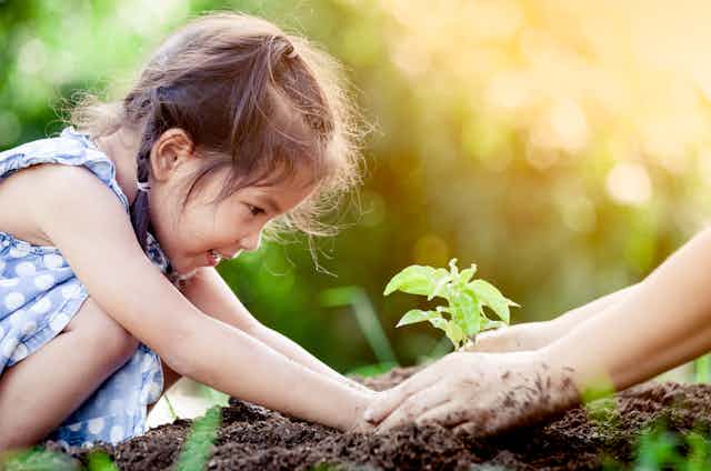 A young girl plants a shoot in soil