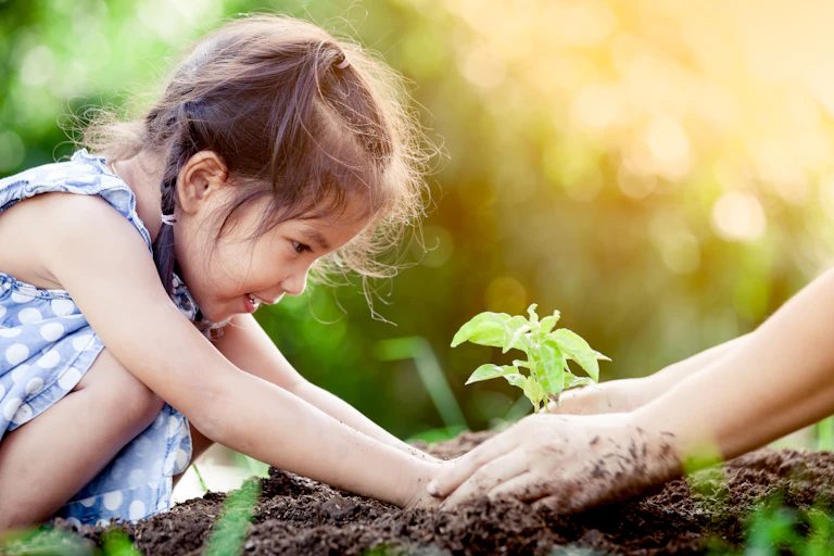 A young girl plants a shoot in soil
