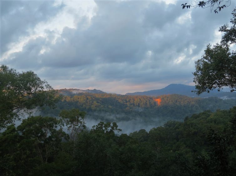 saulėtekis virš ūkanoto atogrąžų miško padengto kalno viršūnės