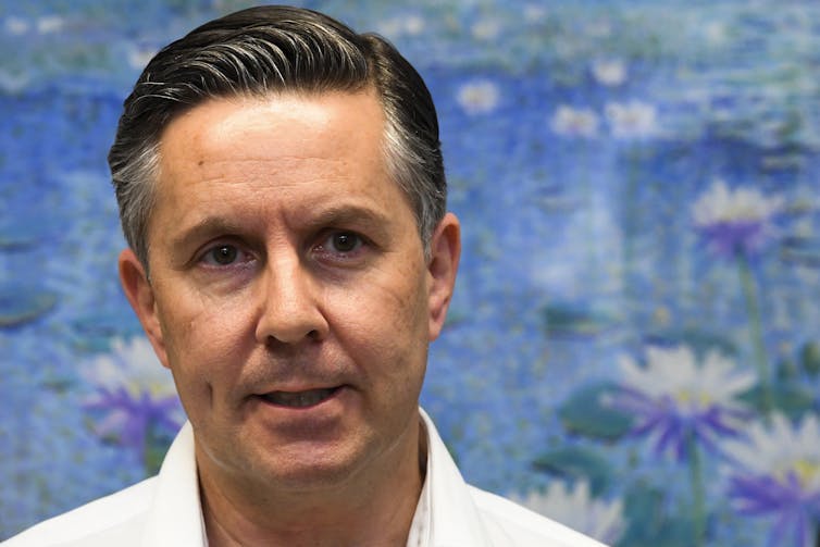 Shadow health minister Mark Butler