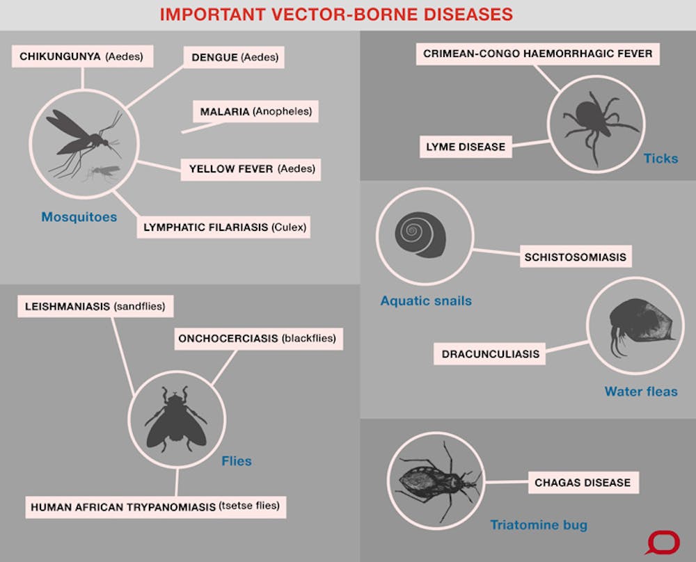 Bites and parasites: vector-borne diseases and the bugs spreading them