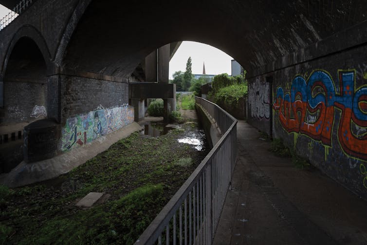 Graffitied walls and vegetation line a canal towpath.